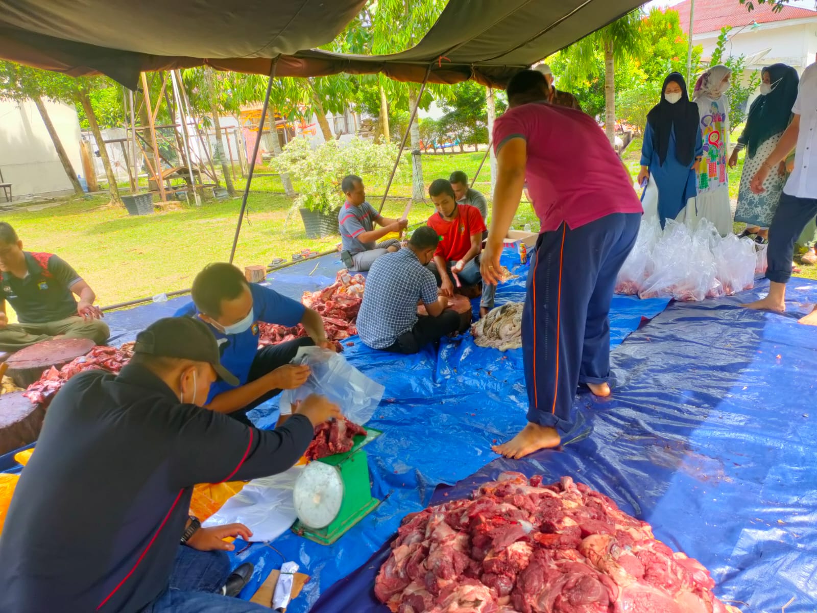 Keluarga Besar Polres Kampar Sembelih 12 Ekor Hewan Qurban Pada Idul Adha 1442 H 