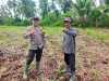 Polsek Kuindra dan Kelompok Tani Cek Pertumbuhan Jagung Hibrida Secara Rutin