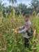 Polri Hadir untuk Ketahanan Pangan, Bhabinkamtibmas Sabak Auh Cek Lahan Jagung Pipil Seluas 1 Hektare