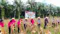 Polsek Sabak Auh Kawal Panen Jagung Pipil, Dukung Program Ketahanan Pangan Asta Cita