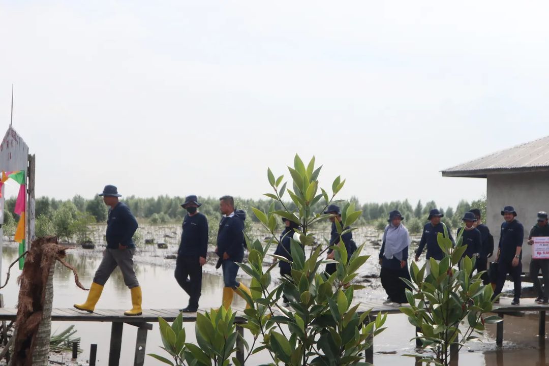 Penanaman 10 Ribu Batang Bibit Mangrove, Bupati HM Wardan : Mari Jaga Ekosistem Mangrove Secara Kontinyu