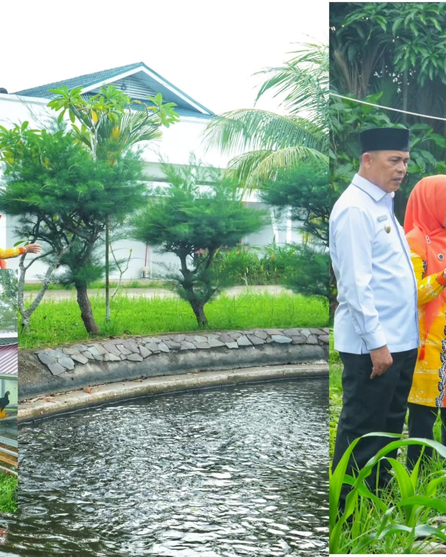 Bupati Inhil Ajak ASN dan Masyarakat Manfaatkan Pekarangan untuk Ketahanan Pangan