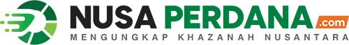 logo nusaperdana.com